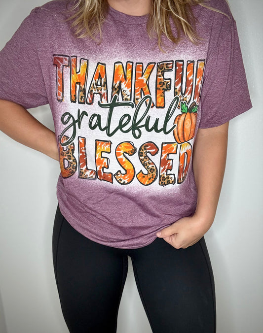 Thankful and Blessed tshirt